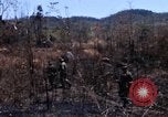 Image of 1st Australian task force South Vietnam, 1968, second 22 stock footage video 65675042954