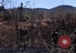 Image of 1st Australian task force South Vietnam, 1968, second 23 stock footage video 65675042954