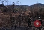 Image of 1st Australian task force South Vietnam, 1968, second 24 stock footage video 65675042954