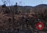 Image of 1st Australian task force South Vietnam, 1968, second 26 stock footage video 65675042954