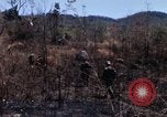 Image of 1st Australian task force South Vietnam, 1968, second 28 stock footage video 65675042954