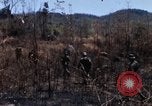 Image of 1st Australian task force South Vietnam, 1968, second 29 stock footage video 65675042954