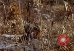 Image of 1st Australian task force South Vietnam, 1968, second 32 stock footage video 65675042954