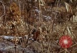 Image of 1st Australian task force South Vietnam, 1968, second 33 stock footage video 65675042954