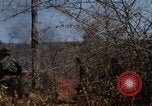 Image of 1st Australian task force South Vietnam, 1968, second 38 stock footage video 65675042954