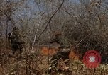 Image of 1st Australian task force South Vietnam, 1968, second 47 stock footage video 65675042954