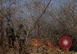 Image of 1st Australian task force South Vietnam, 1968, second 49 stock footage video 65675042954