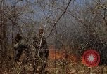 Image of 1st Australian task force South Vietnam, 1968, second 53 stock footage video 65675042954