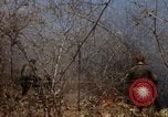 Image of 1st Australian task force South Vietnam, 1968, second 59 stock footage video 65675042954