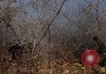 Image of 1st Australian task force South Vietnam, 1968, second 60 stock footage video 65675042954