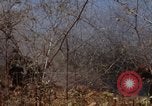 Image of 1st Australian task force South Vietnam, 1968, second 61 stock footage video 65675042954