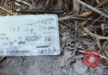 Image of 1st Australian task force South Vietnam, 1968, second 4 stock footage video 65675042955