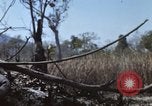 Image of 1st Australian task force South Vietnam, 1968, second 11 stock footage video 65675042955