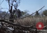 Image of 1st Australian task force South Vietnam, 1968, second 13 stock footage video 65675042955