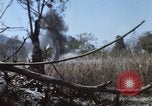Image of 1st Australian task force South Vietnam, 1968, second 14 stock footage video 65675042955
