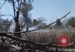 Image of 1st Australian task force South Vietnam, 1968, second 15 stock footage video 65675042955