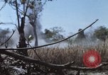 Image of 1st Australian task force South Vietnam, 1968, second 17 stock footage video 65675042955