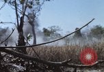Image of 1st Australian task force South Vietnam, 1968, second 18 stock footage video 65675042955