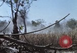 Image of 1st Australian task force South Vietnam, 1968, second 19 stock footage video 65675042955