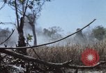 Image of 1st Australian task force South Vietnam, 1968, second 20 stock footage video 65675042955