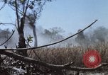 Image of 1st Australian task force South Vietnam, 1968, second 21 stock footage video 65675042955