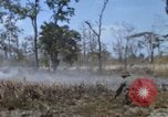 Image of 1st Australian task force South Vietnam, 1968, second 22 stock footage video 65675042955