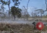 Image of 1st Australian task force South Vietnam, 1968, second 24 stock footage video 65675042955