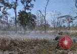 Image of 1st Australian task force South Vietnam, 1968, second 25 stock footage video 65675042955