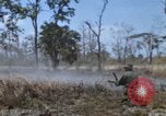 Image of 1st Australian task force South Vietnam, 1968, second 26 stock footage video 65675042955