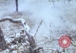 Image of 1st Australian task force South Vietnam, 1968, second 28 stock footage video 65675042955