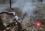 Image of 1st Australian task force South Vietnam, 1968, second 29 stock footage video 65675042955