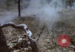 Image of 1st Australian task force South Vietnam, 1968, second 30 stock footage video 65675042955
