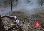 Image of 1st Australian task force South Vietnam, 1968, second 31 stock footage video 65675042955