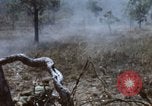 Image of 1st Australian task force South Vietnam, 1968, second 32 stock footage video 65675042955