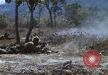 Image of 1st Australian task force South Vietnam, 1968, second 38 stock footage video 65675042955