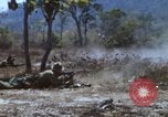 Image of 1st Australian task force South Vietnam, 1968, second 39 stock footage video 65675042955