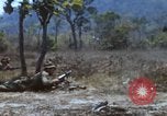 Image of 1st Australian task force South Vietnam, 1968, second 45 stock footage video 65675042955