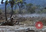 Image of 1st Australian task force South Vietnam, 1968, second 48 stock footage video 65675042955