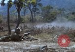 Image of 1st Australian task force South Vietnam, 1968, second 49 stock footage video 65675042955