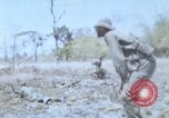 Image of 1st Australian task force South Vietnam, 1968, second 57 stock footage video 65675042955