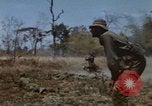 Image of 1st Australian task force South Vietnam, 1968, second 58 stock footage video 65675042955