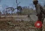 Image of 1st Australian task force South Vietnam, 1968, second 59 stock footage video 65675042955