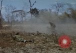 Image of 1st Australian task force South Vietnam, 1968, second 61 stock footage video 65675042955
