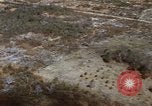 Image of 1st Australian task force South Vietnam, 1968, second 57 stock footage video 65675042956