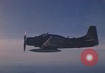 Standbild 1E Skyraider Südostasien, 1966, aus Sekunde 36 historischem Filmmaterial Videoclip 65675042964