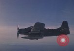 Standbild 1E Skyraider Südostasien, 1966, aus Sekunde 39 historischem Filmmaterial Videoclip 65675042964