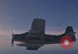 Standbild 1E Skyraider Südostasien, 1966, aus Sekunde 44 historischem Filmmaterial Videoclip 65675042964