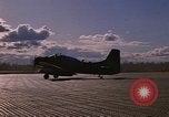 Image of A-1E Skyraider aircraft operating on ground Southeast Asia, 1966, second 53 stock footage video 65675042967