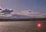 Image of A-1E Skyraider aircraft operating on ground Southeast Asia, 1966, second 59 stock footage video 65675042967