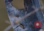 Image of Security police Quick Reaction Team Vietnam, 1970, second 20 stock footage video 65675042972